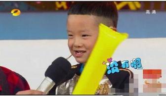 田源儿子最新爆料,父亲背后的感人故事与心酸历程